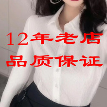 哥家商场同款2026春新款商场同款POLO领修身素面打底衬衫5300528