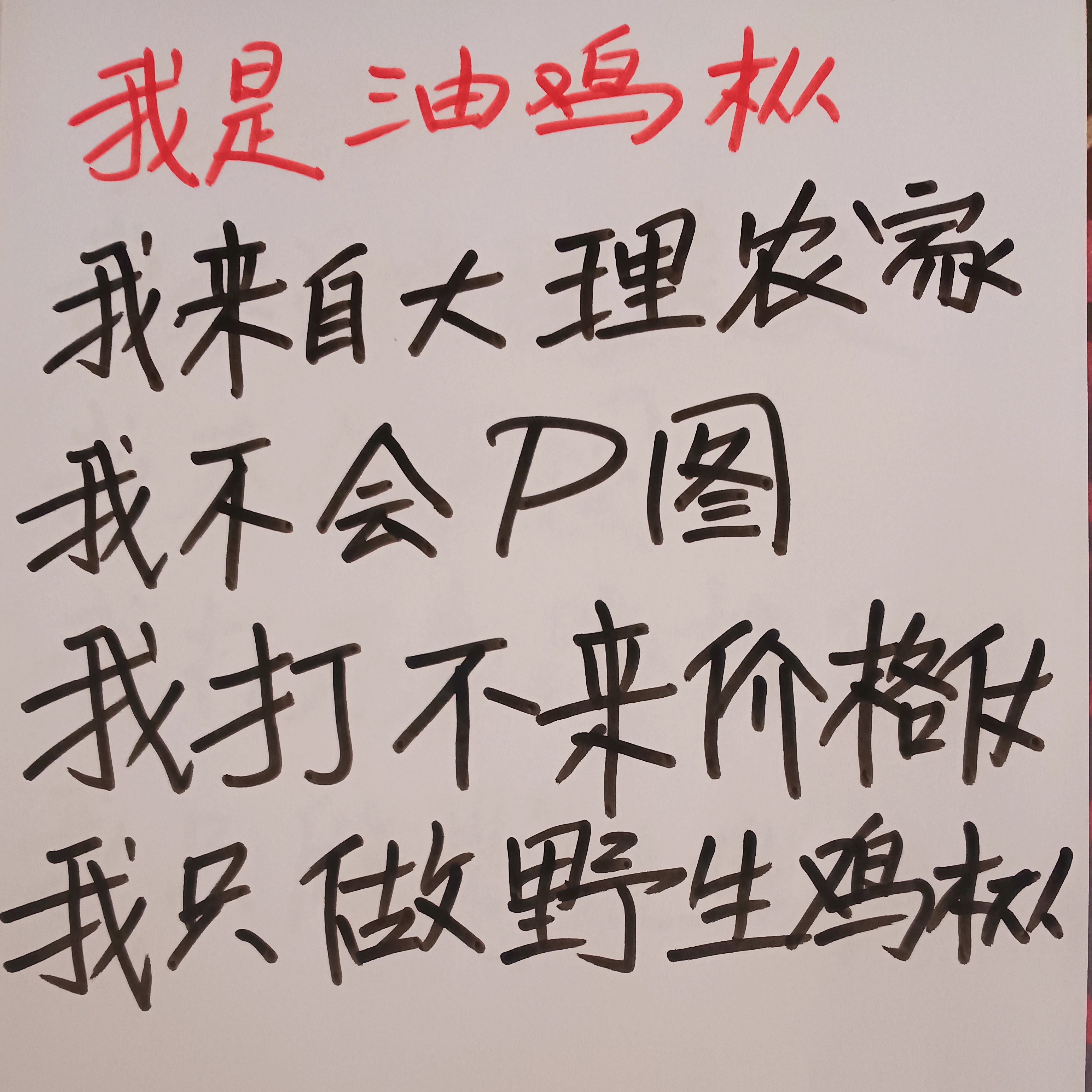 云南特产油浸松茸菌鸡枞菌