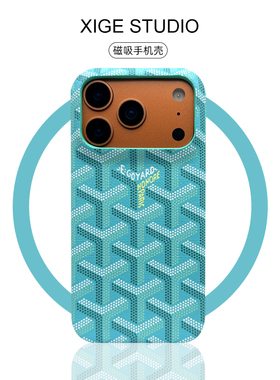 潮牌狗牙浅蓝皮质纹Magsafe磁吸适用于苹果17promax手机壳新款iPhone16promax/15promax/14promax保护套