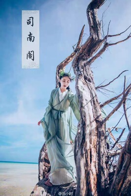 司南阁清平调大袖衫直裾