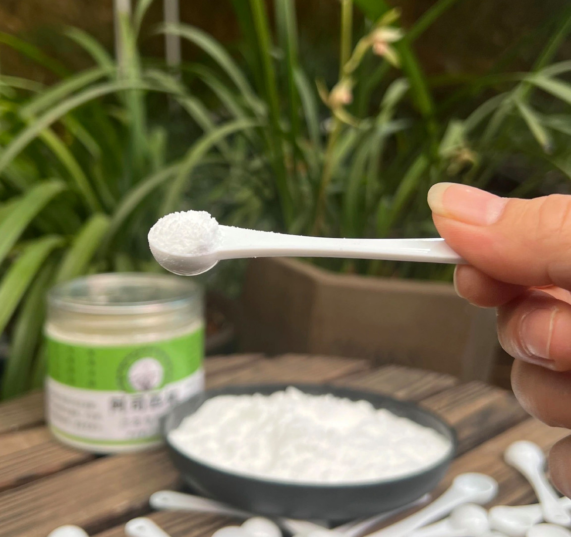 兰花专用加速服盆促生根促发芽