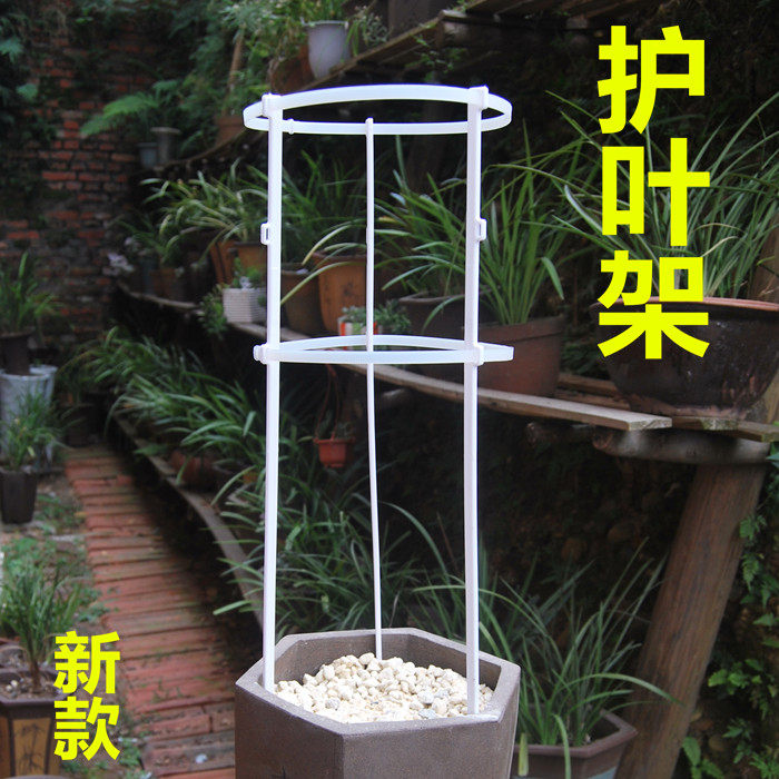 新款护叶架护兰架 扶正修正兰花兰叶姿态 蕙兰春剑建兰护叶固定架在类目 鲜花速递/花卉仿真/绿植园艺, 园艺用品, 其它园艺用品中 - 来自Buy2taobao.com提供专业的淘宝代购服务