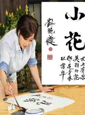 高精11手写临摹刘晓庆书