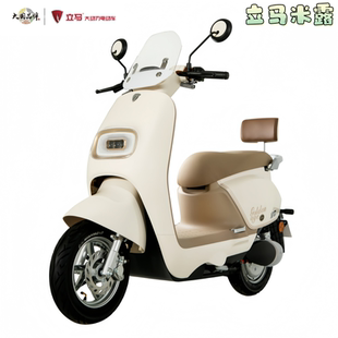 立马电动车米露原厂配件原装塑件外观件喷漆件前泥板面板挡风玻璃