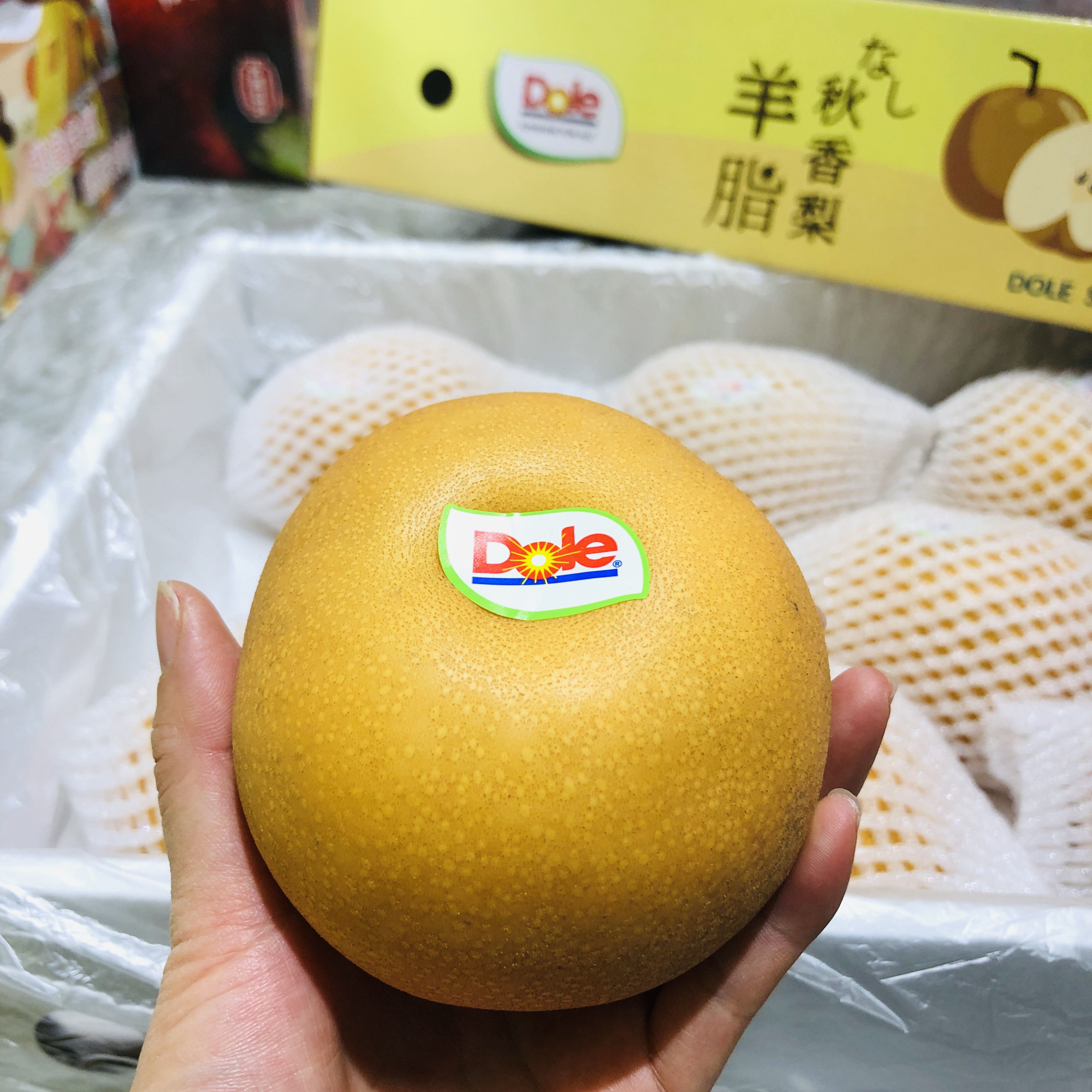 都乐羊脂秋香梨 一款吃鸡蛋喝糖蜜长大的梨 甜度高水分足无渣