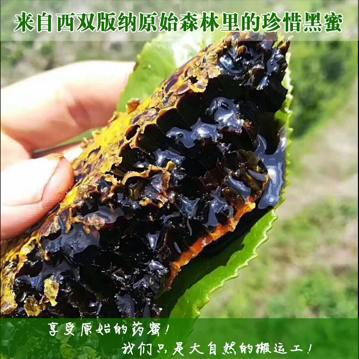 米团花黑蜜2025年新蜜云南西双版纳原始森林高山百花蜜包邮黑晶蜜