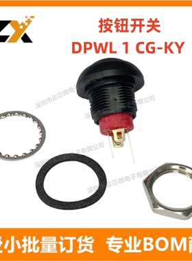 全新原装 DPWL 1 CG-KY【SWITCH PUSHBUTTON ILLUM OFF-MOM】