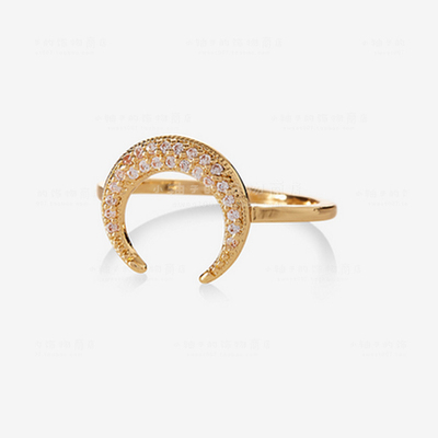 express锆石月亮戒指 个别带卡片pave moon ring