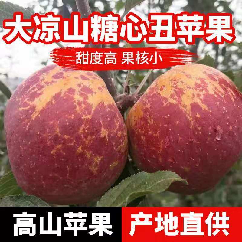 新鲜采摘应季大凉山野生糖心丑苹果新鲜水果中果3/5/8斤装