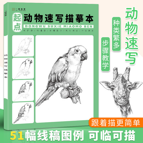 动物速写描摹本零基础自学