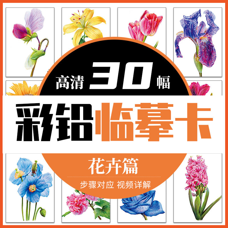 彩铅花卉临摹卡30幅步骤对应练习视频详解美术原创绘画卡片