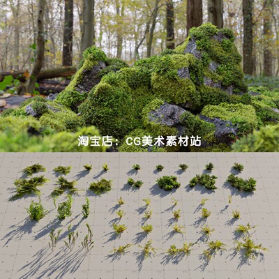 Blender苔藓石头石块3D模型植物资产库Moss 7 Species and Stones