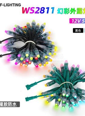 LED全彩WS2811外露防水F8草帽灯串12VRGB可编程IP68灌胶广告招牌