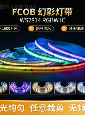 FCOB幻彩RGBW可编程WS2814柔性LED灯带896灯匀光流水全彩24V灯条