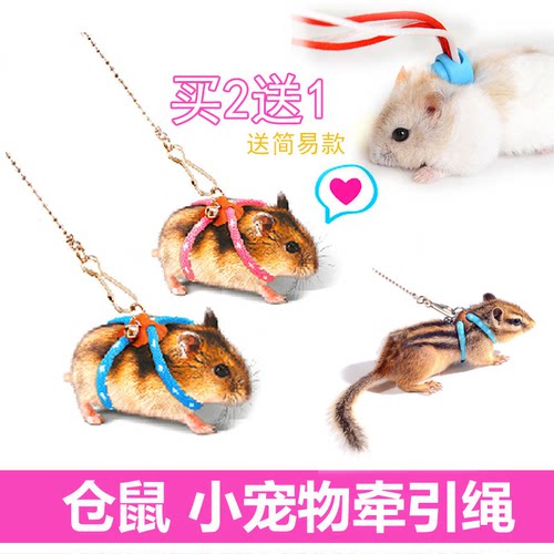 仓鼠牵引绳玩具花枝鼠链子训练溜松鼠绳熊仔牵引带Alice宠物用品 - 封面