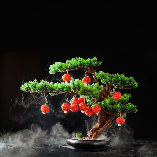 匠厨创意菜餐具网红荔枝球餐具迎客松餐具意境菜创意菜餐具会所 - 封面