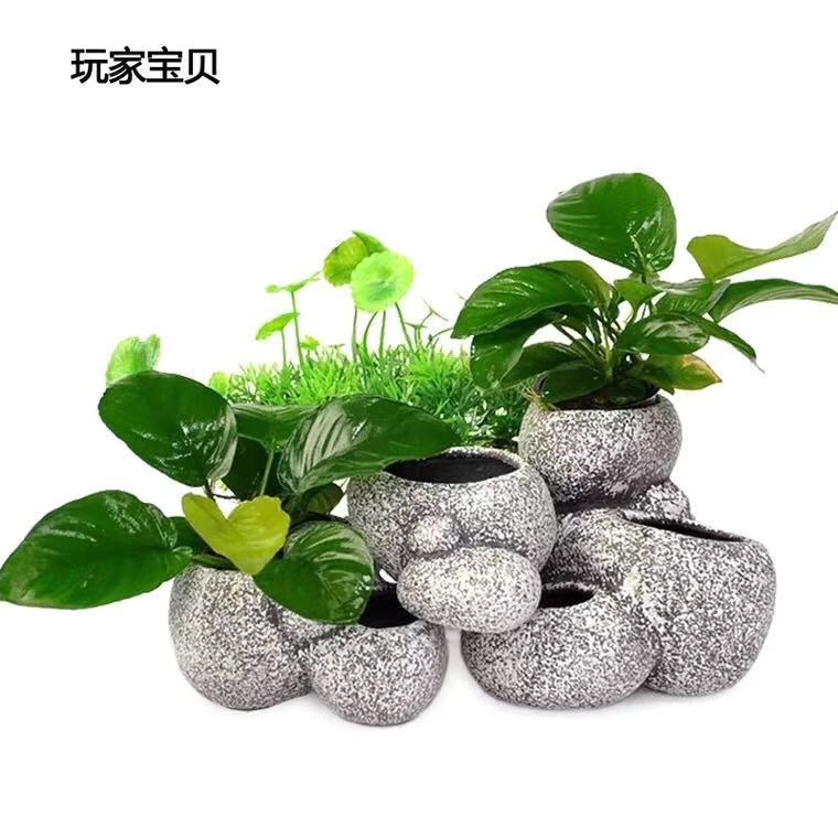 水草盆子多功能 躲避罐 鱼缸造景躲避屋陶瓷罐产卵罐繁殖陶罐