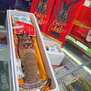 古巴龙虾礼盒鲜活冷冻澳洲大龙虾年夜饭过年送礼年货海鲜礼盒包邮