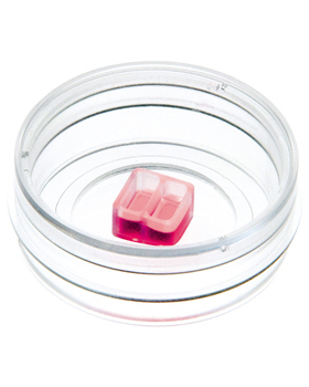 德国IBIDI 划痕试验 81176 35mm 高壁伤口愈合实验皿（2孔）