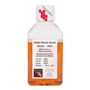 SFBS Bovine Bovogen Foetal 澳洲胎牛血清 Serum Sterile