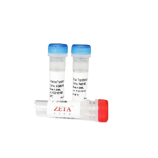 Zeta life P400025 Sirius DNA 转染试剂 0.25ml zetalife