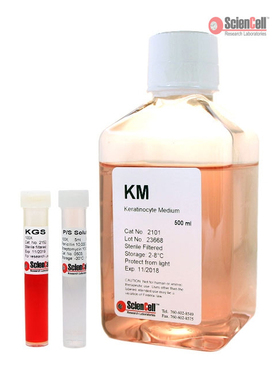 ScienCell 2101 角质细胞培养基  KM培养基  500ML