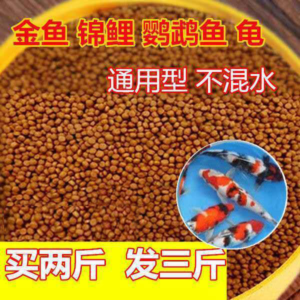 易消化通用型观赏鱼小金鱼饲料锦鲤鱼食小鱼颗粒鱼粮食鱼饵料