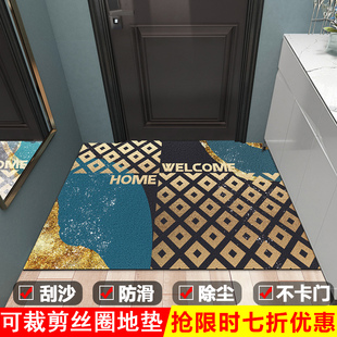 轻奢进门地垫子入户门垫门口家用防滑脚垫门厅高弹丝圈可裁剪地毯