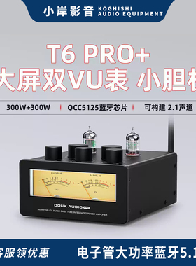【小岸影音】DOUK AUDIO T6 PRO+ 电子管大功率功放蓝牙5.1发烧级