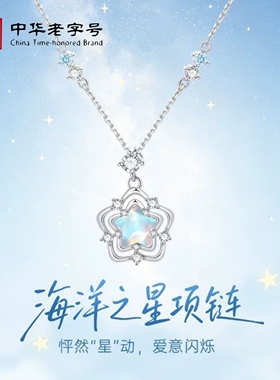 海洋之星项链女生日礼物七夕情人节送女朋友闺蜜高级感锁骨链实用