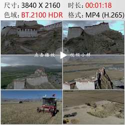 航拍西藏日喀则江孜宗山古堡年楚河青稞麦田丰收高清实拍视频素材