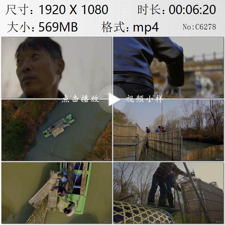 江苏溱湖簖蟹渔民下簖网捕捞螃蟹劳动人民的智慧高清实拍视频素材
