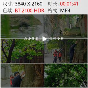 重庆黄桷坪江岸风景石台阶江面船只志愿者修剪大树树荫视频素材