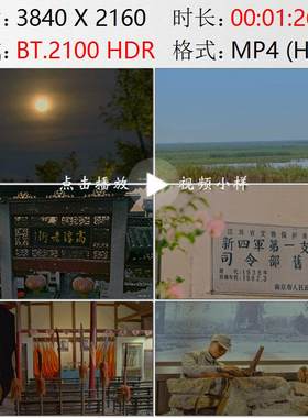 高淳老街吴家大院夜景月亮芦苇湖面小船陈毅诗句高清实拍视频素材