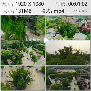 航拍山西临汾市洪洞县大槐树古代北方移民怀古祭祖实拍视频素材