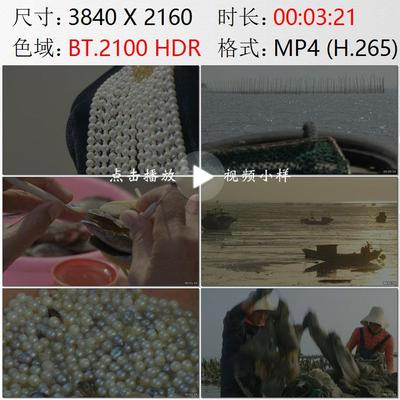 广西桂林合浦古镇海滨珍珠养殖人工培育渔民开贝取珠实拍视频素材