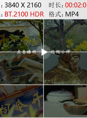 鸟瞰云南昆明升庵祠杨慎雕像杨升庵纪念馆古建筑高清实拍视频素材