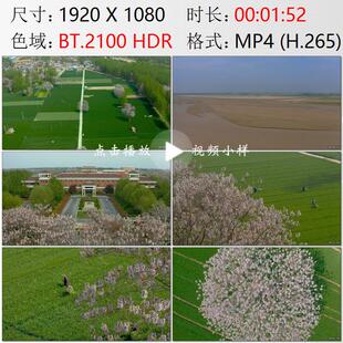 航拍河南兰考县焦裕禄塑像农田泡桐树黄河黄昏日落实拍视频素材