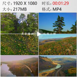 航拍黑龙江伊春五营国家森林公园小兴安岭红松彩色林木视频素材
