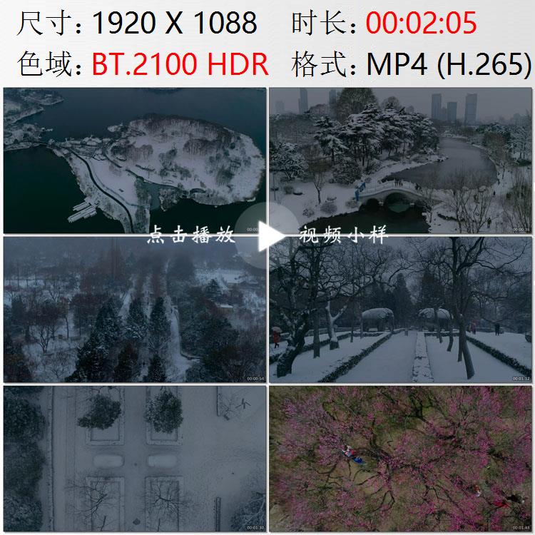航拍江苏南京鸡鸣寺玄武湖明孝陵冬天雪景腊梅园梅花山视频素材