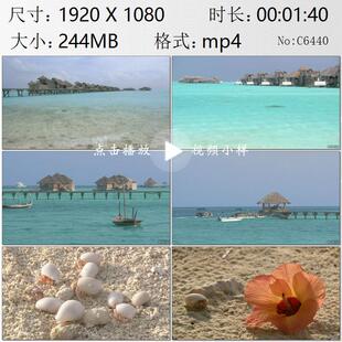 马尔代夫海滨风光鱼虾沙滩海螺特写茅草木屋栈桥小船实拍视频素材