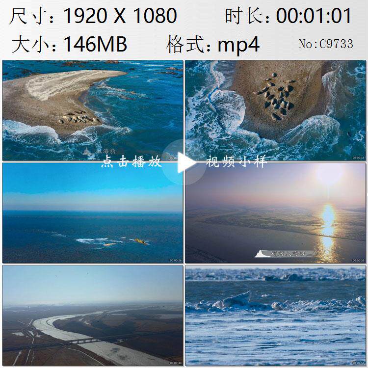 航拍渤海虎平岛沙洲斑海豹虎辽河入海口冻结冰封高清实拍视频素材