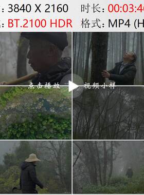 四川阆中古城植树造林绿化长江中上游防护林山林护林员视频素材