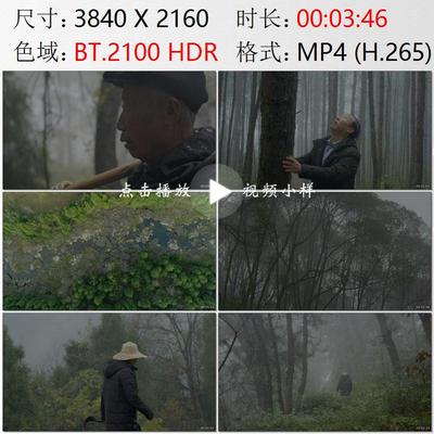 四川阆中古城植树造林绿化长江中上游防护林山林护林员视频素材