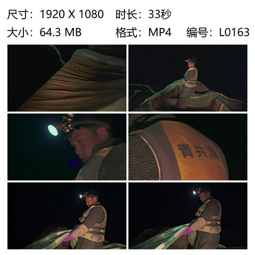 船夫夜间收网捕捞小银鱼青海龙羊峡水电站渔民劳作网布覆盖水面密