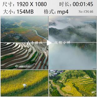航拍湖南山区农田娄底市新化县紫鹊界梯田水稻丰收实拍视频素材