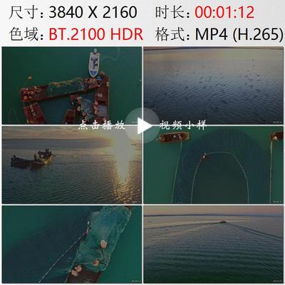 航拍新疆福海县乌伦古湖渔民捕捞池沼公鱼高清实拍视频素材