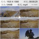 新疆天山高寒山区牧场马群柯尔克孜族老人训练猎鹰实拍视频素材