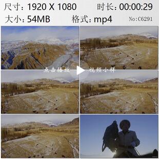 新疆天山高寒山区牧场马群柯尔克孜族老人训练猎鹰实拍视频素材