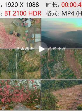 航拍山东淄博沂蒙山区沂源县苹果园丰收高清实拍视频素材